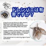 𝗡𝗘𝗪 Drain Fly Killer 5PCS Japan Powerful Sink Drain Cleaner for Kitchen & Bathroom Clog Removal (Enyzme Powder) - Image 4