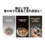 𝗡𝗘𝗪 Drain Fly Killer 5PCS Japan Powerful Sink Drain Cleaner for Kitchen & Bathroom Clog Removal (Enyzme Powder) - Image 3