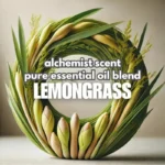 Automatic Essential Oil Diffuser for Home Office Car - Large 200ml Capacity - Image 5